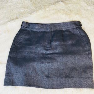 Ann Taylor Loft Silver Sparkle Mini Skirt Size 8